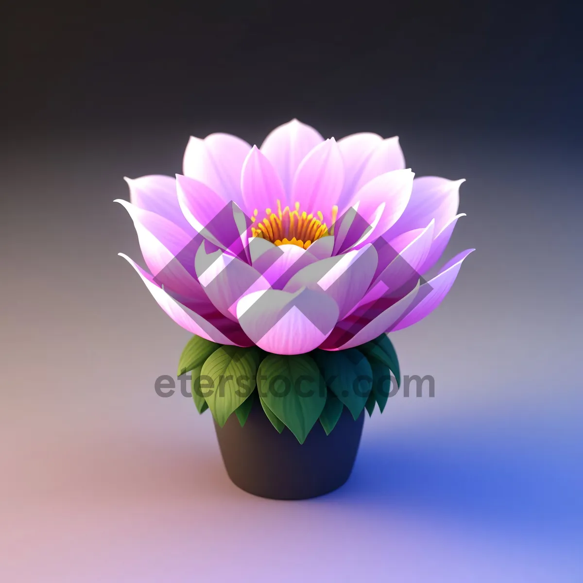 Picture of Pink Lotus Blossom in Full Bloom