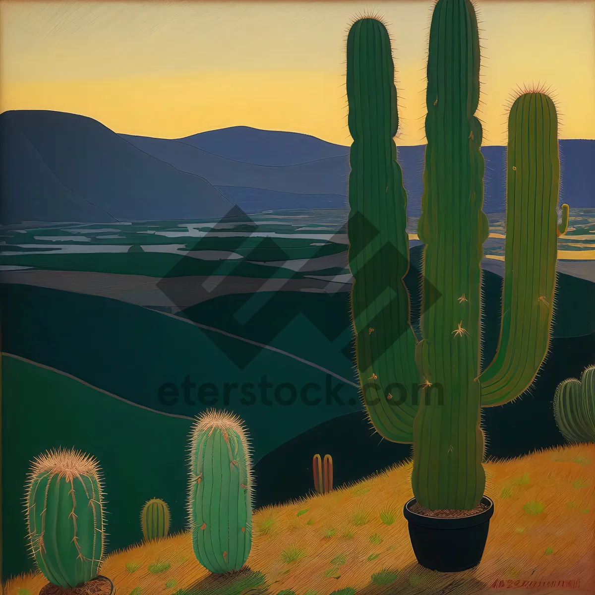 Picture of Saguaro Sunset: Majestic Desert Landscape with Cacti