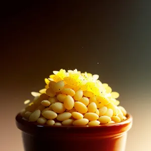 Fresh and Nutritious Yellow Corn Kernel - Healthy Vegetarian Seed