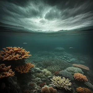 Colorful Coral Reef Life Beneath the Sunbeam