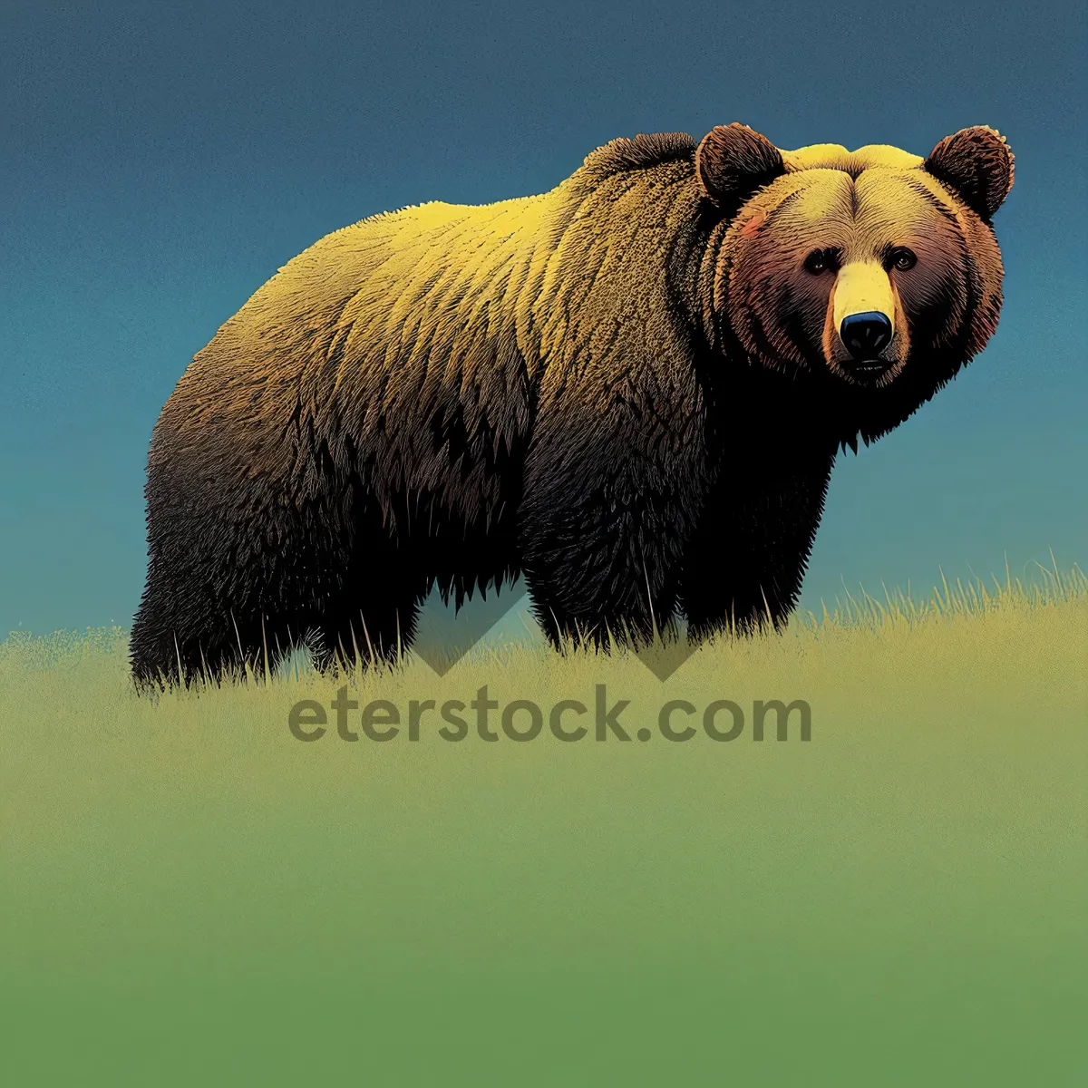 Picture of Brown Bear Grazing in Rural Meadow