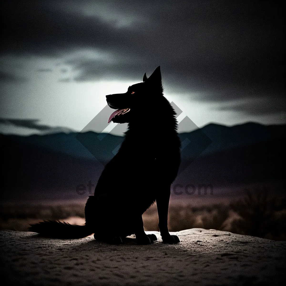 Picture of Serene Sunset Silhouette at Beach