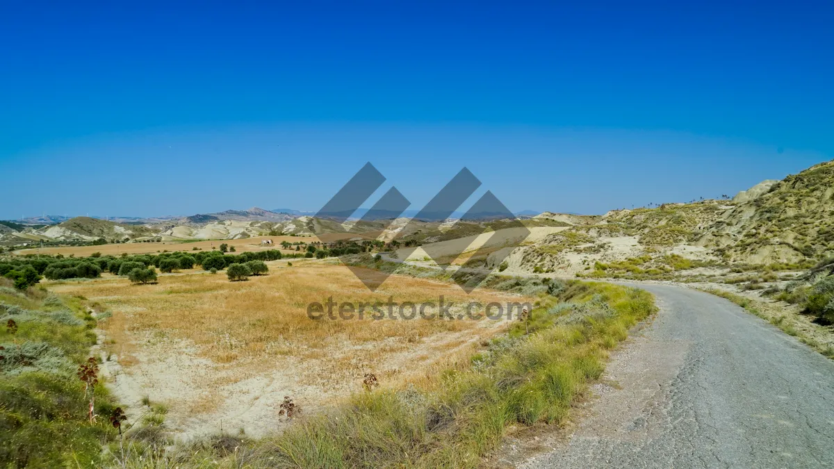 Picture of Mountain landscape with lush green meadow