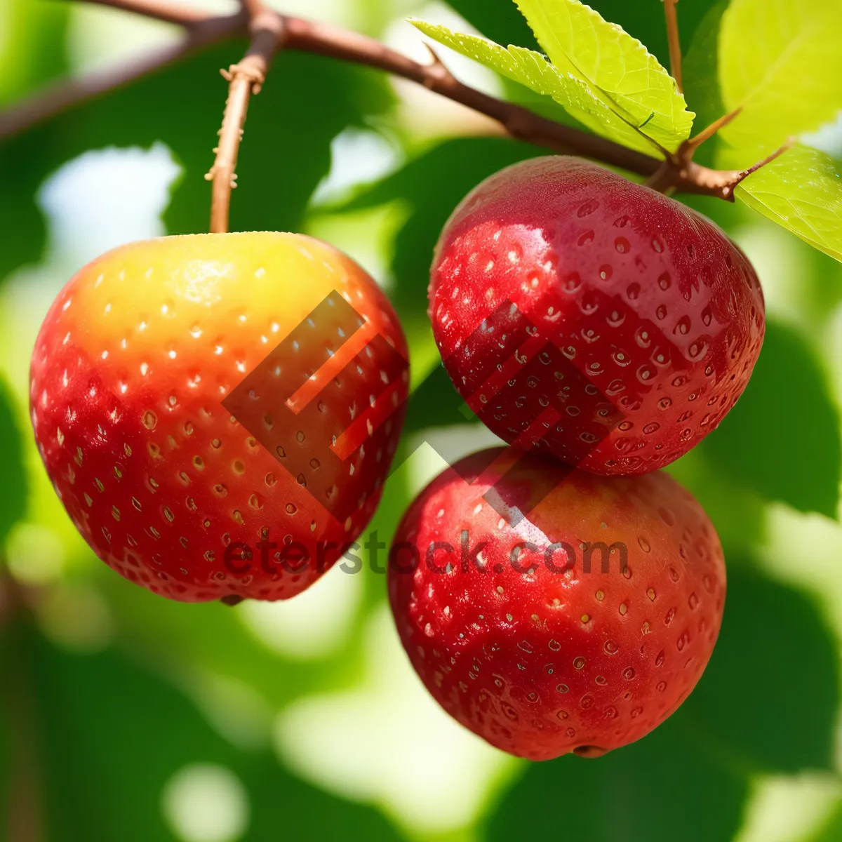 Picture of Juicy Strawberry Delight: A Refreshing Burst of Sweetness