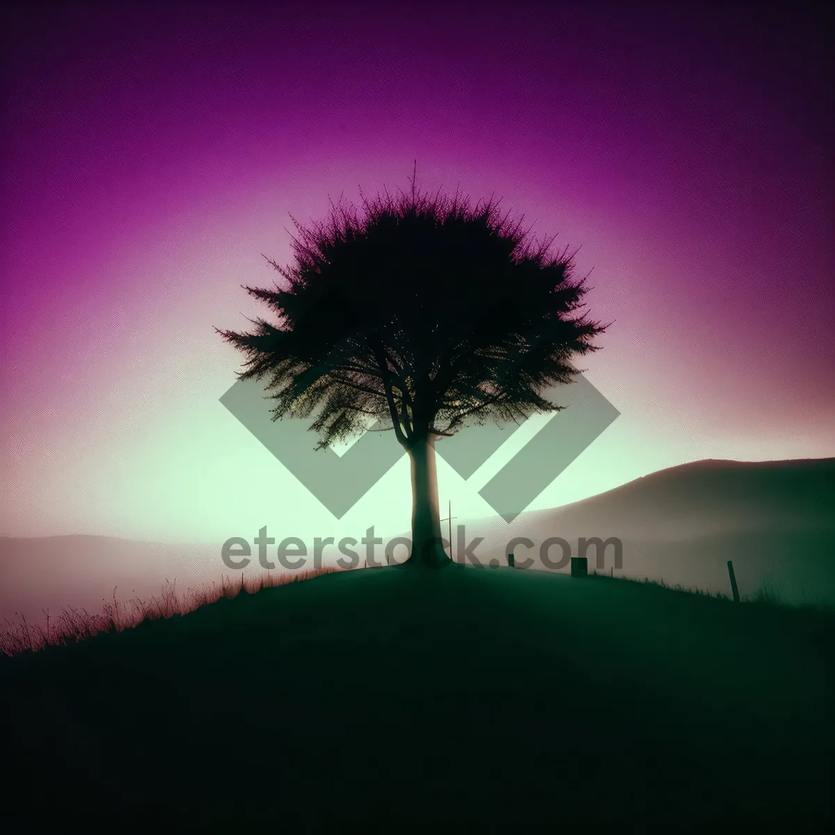 Picture of Nighttime Celebration: Fiery Palm Tree under Starlit Sky