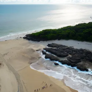 Tranquil Tropical Beachscape with Crystal Clear Waves