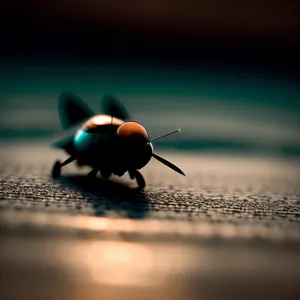 Summer Garden Bug Close-Up: Rhinoceros Beetle on Leaf