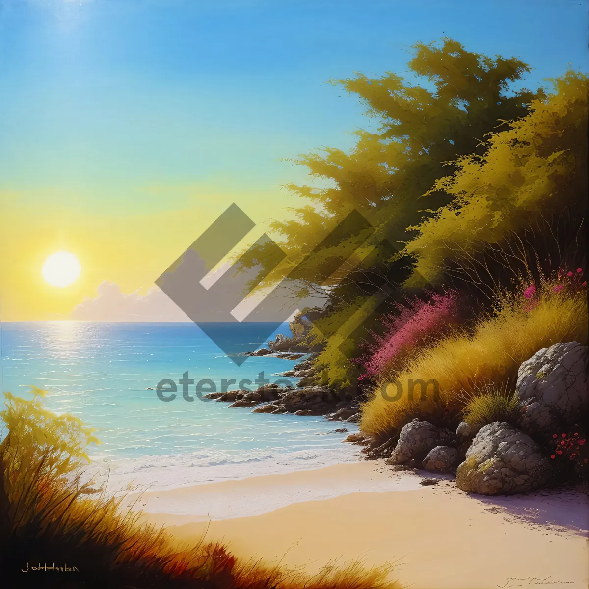 Picture of Golden Serenity: Sunset over Tropical Beach