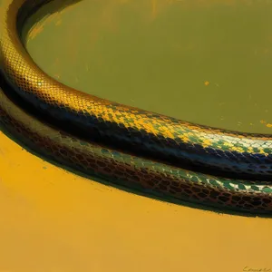 Reptile Thunder: Garter Snake, Eel - Exquisite Serpent