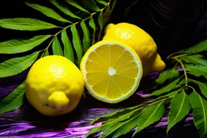 Tropical Citrus Juice with Freshly Sliced Lemons