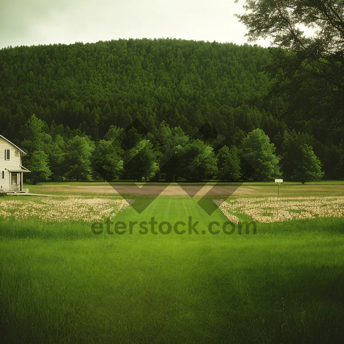 Picture of Summer Landscape with Tree and Rolling Hills