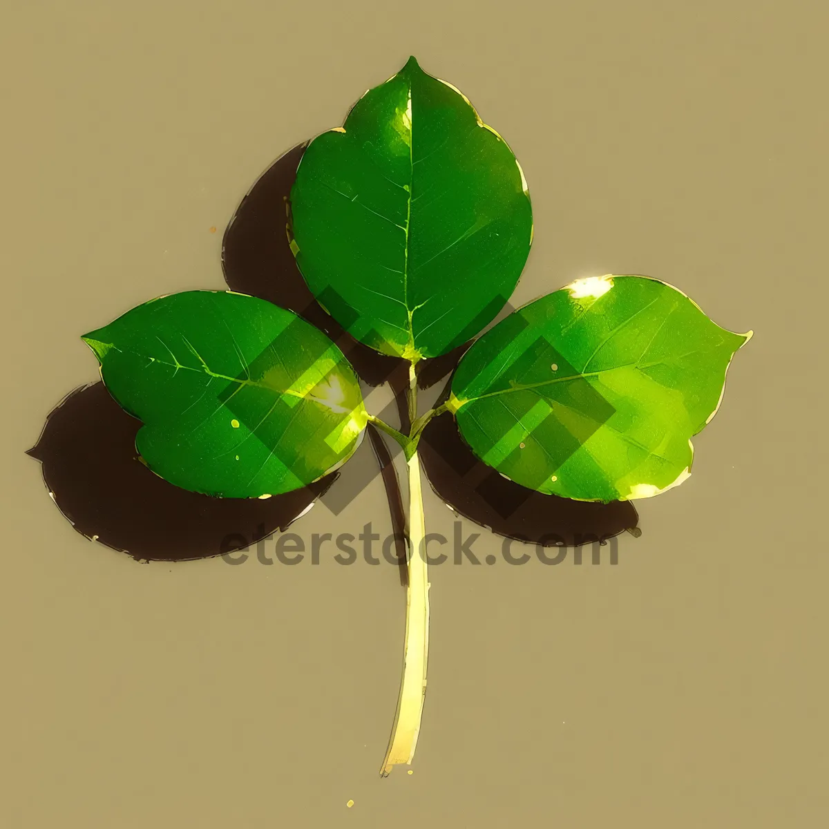 Picture of Fresh Gooseberry Leaves on Branch - Summer Flora