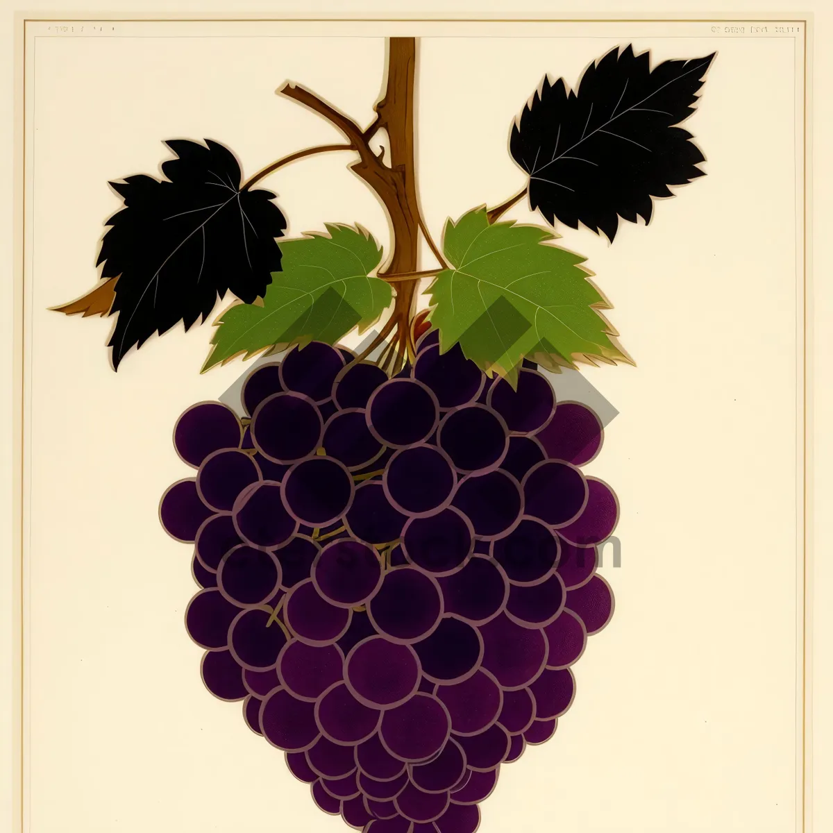 Picture of Vibrant Grape Vineyard Decor with Honeycomb Pattern