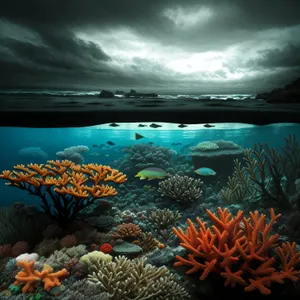 Vibrant Coral Reef Life Beneath the Sunlit Ocean