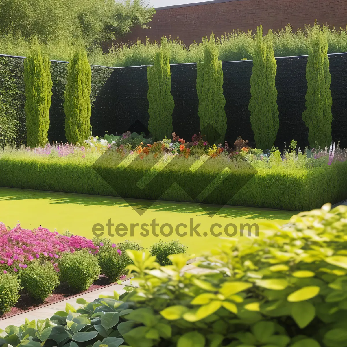 Picture of Idyllic summertime zucchini field amidst lush green landscape