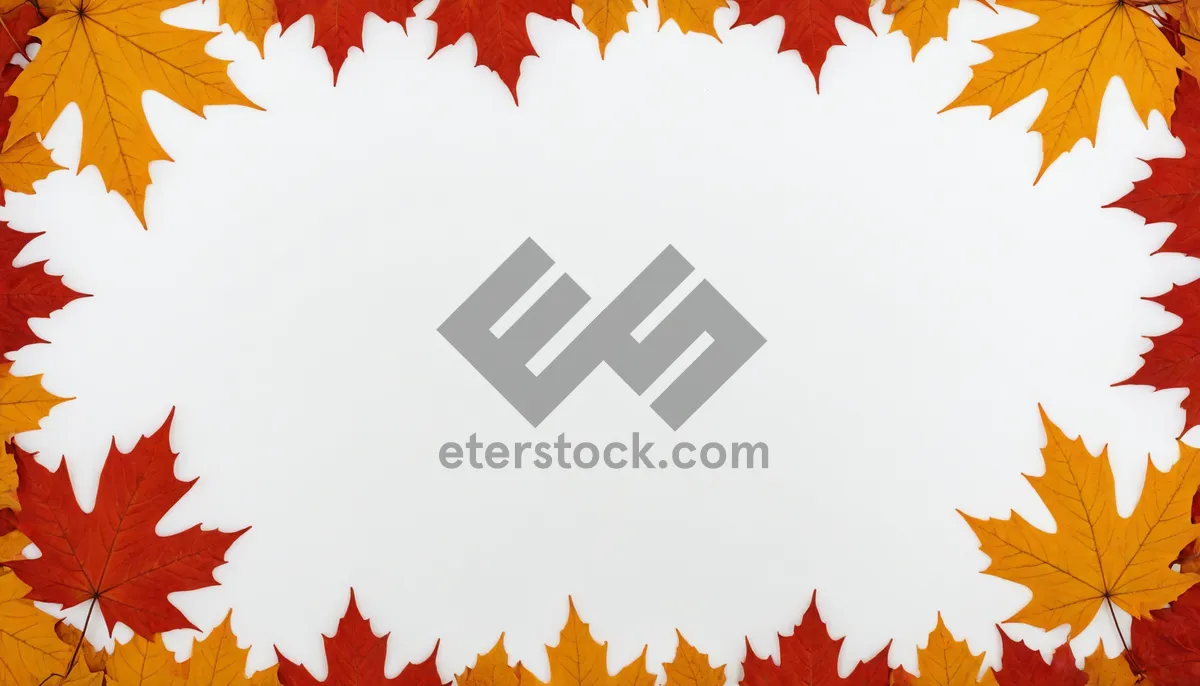 Picture of Autumn Tree Frame with Yellow Maple Leaves Design