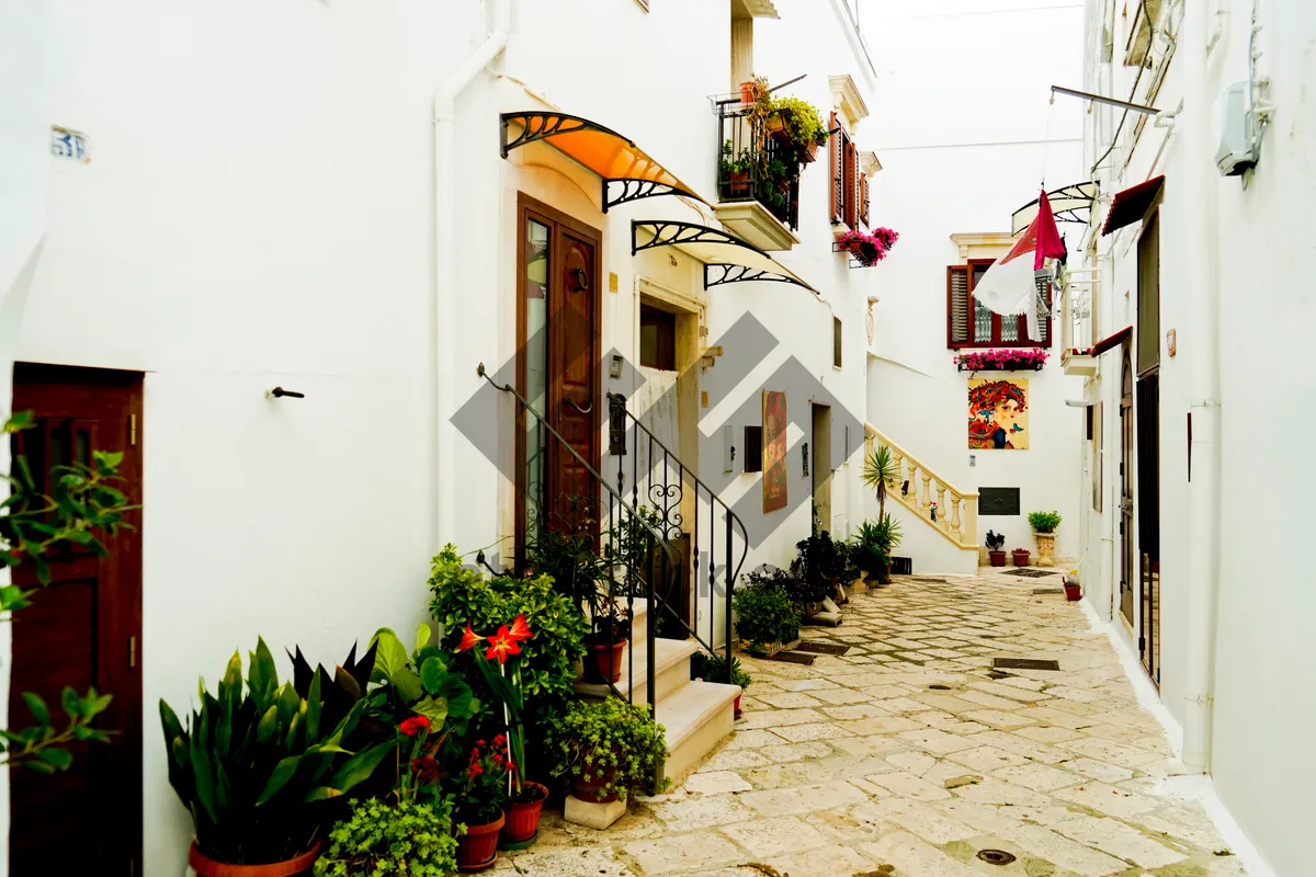 Picture of Old city building with street view