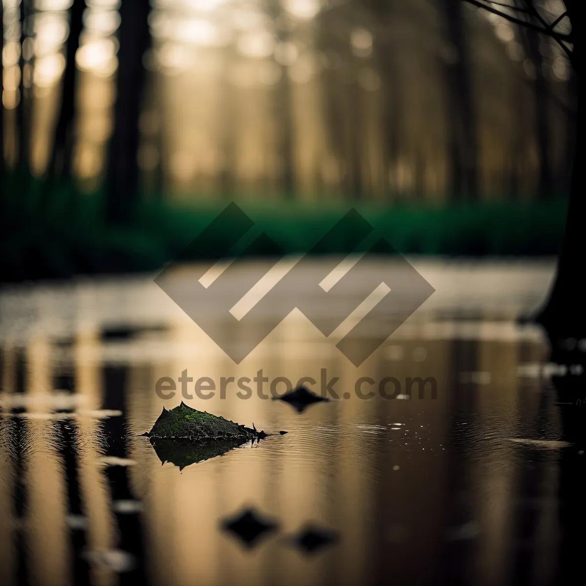 Picture of Sunset Reflection on Water with Hairbrush and Brush