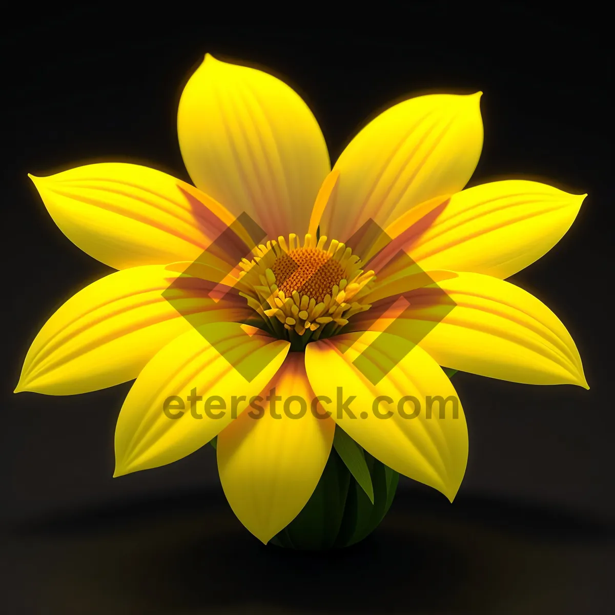 Picture of Bright Sunflower Bloom in Summer Garden
