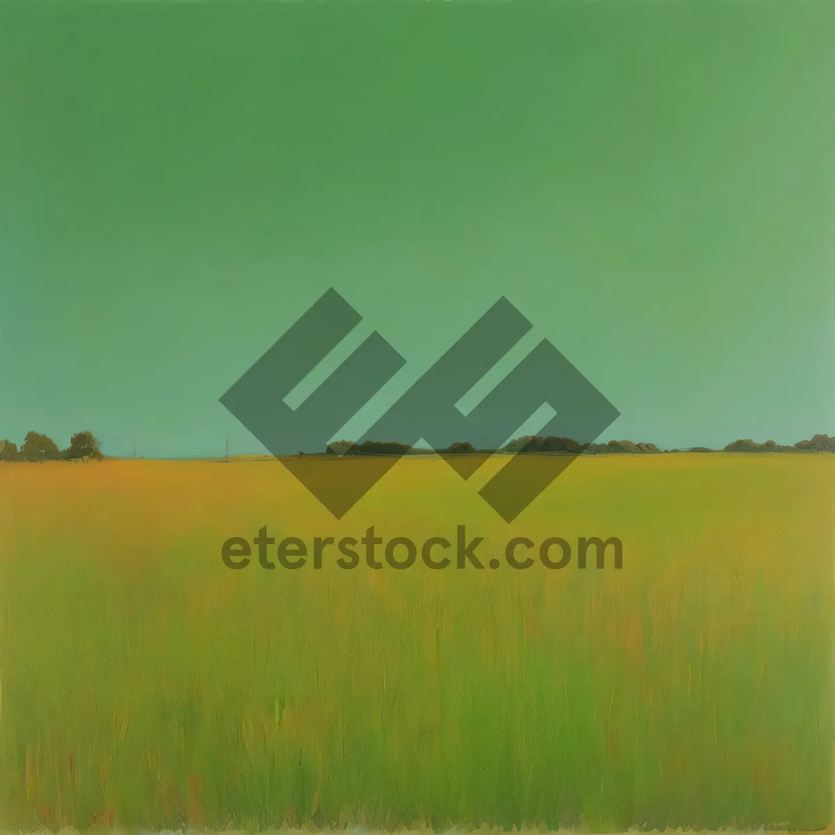 Picture of Golden Cereal Fields under a Blue Sky