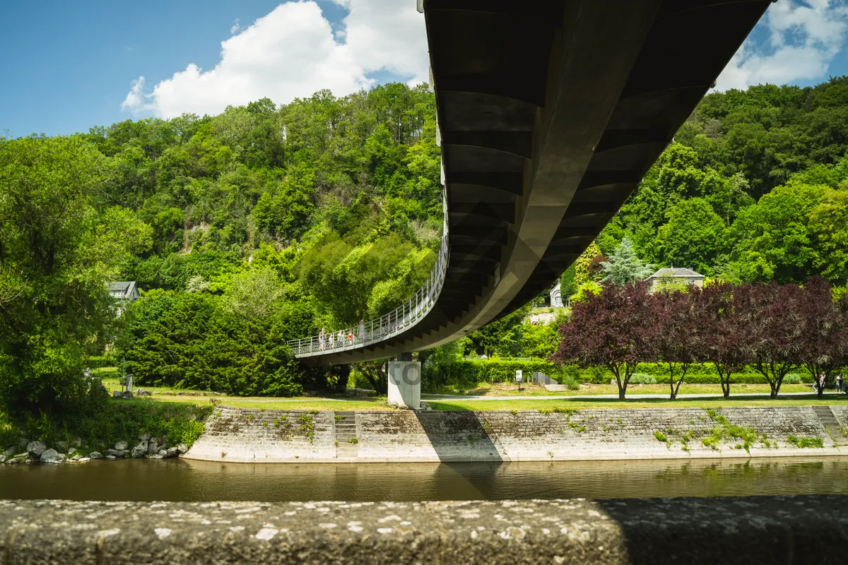 Picture of Scenic River Bridge in Summer Landscape