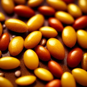 Organic Brown Beans: Nutritious and Delicious Legume