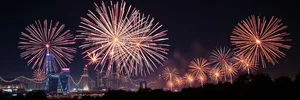 Night sky celebration fireworks bursting with colors.