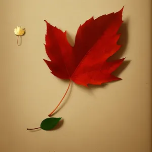 Vibrant Autumn Maple Leaf Petals