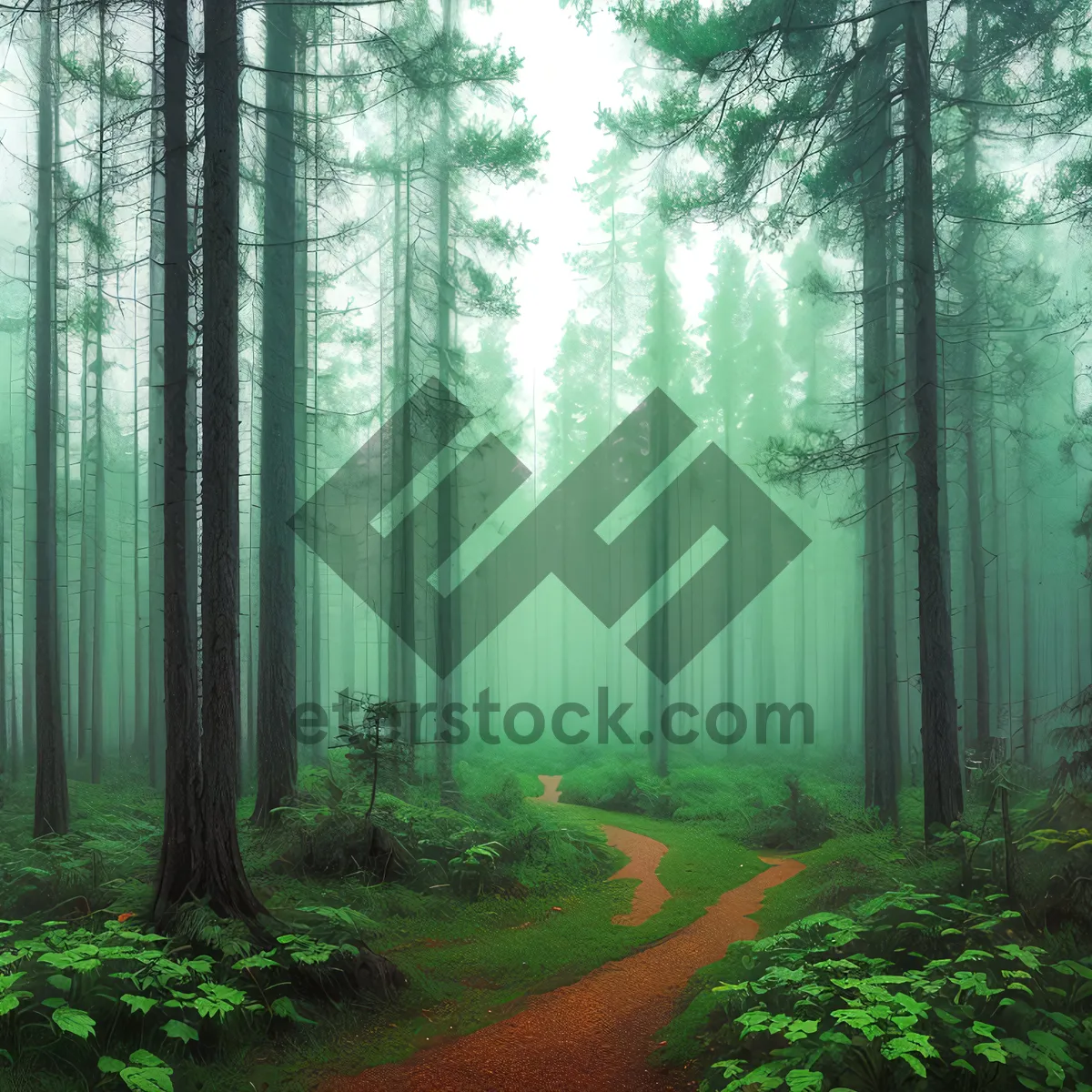 Picture of Serene Autumn Path in Sunlit Forest