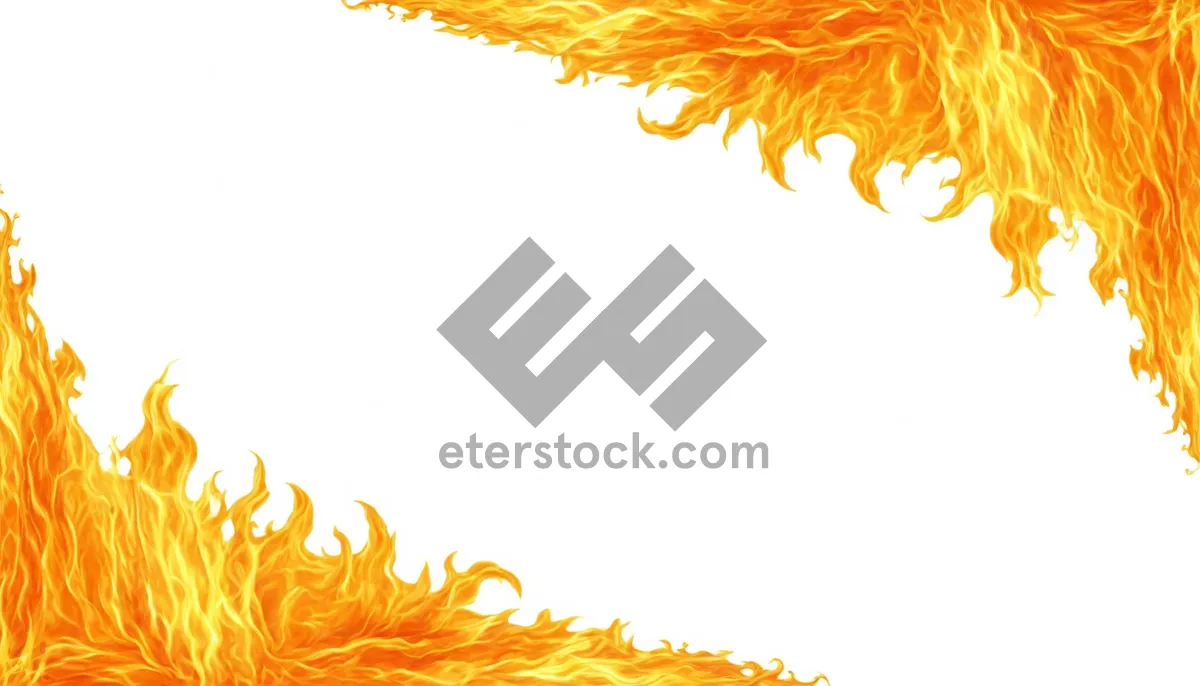 Picture of Creative Floral Pattern Design Element