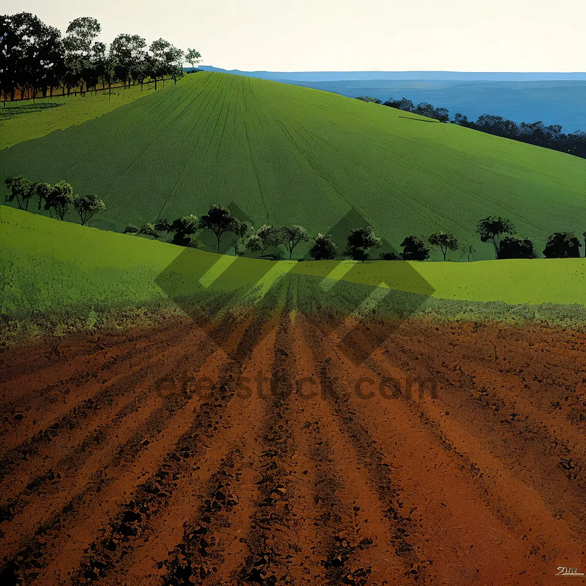 Picture of Rural Farm Landscape Under Sunny Sky