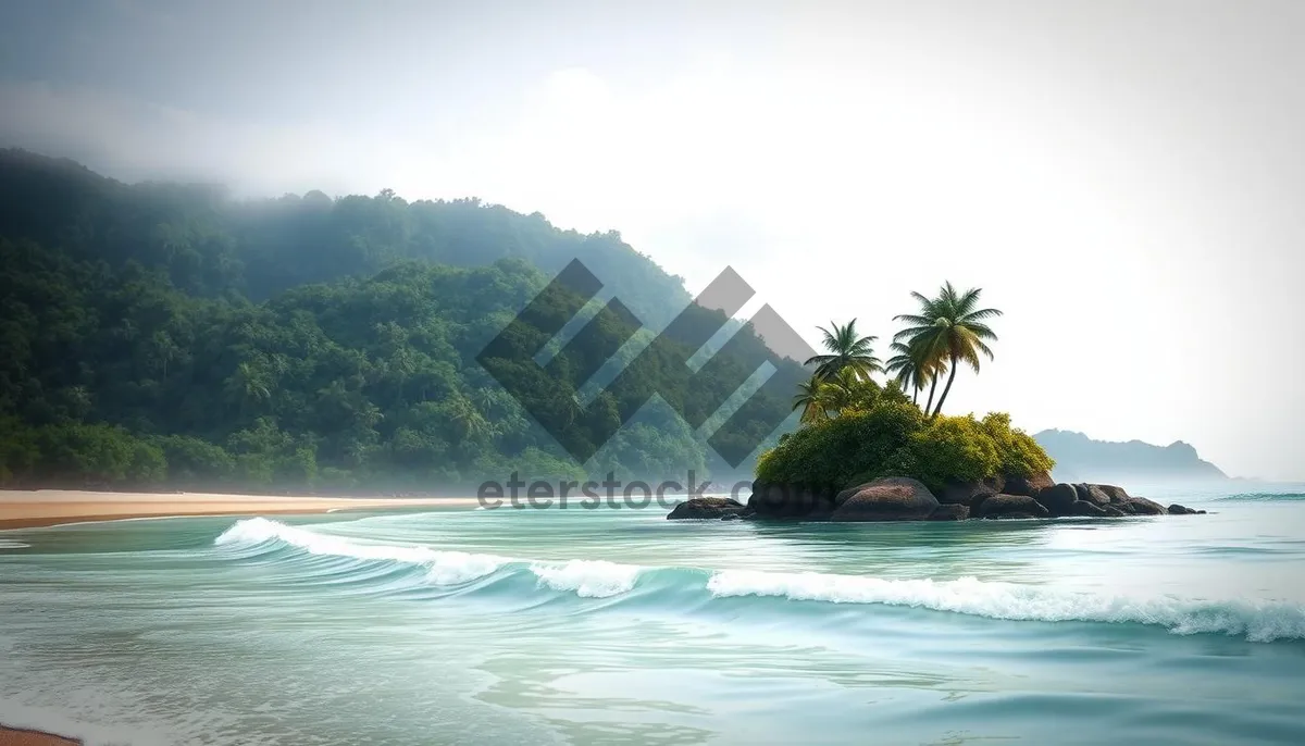 Picture of Idyllic tropical beach with palm trees and clear sea.