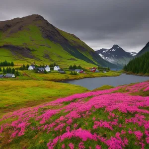 Moss Pink Blooming Amidst Majestic Mountain Landscape