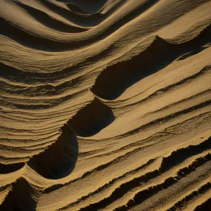 Desert Dune Landscape with Textured Rock Formation