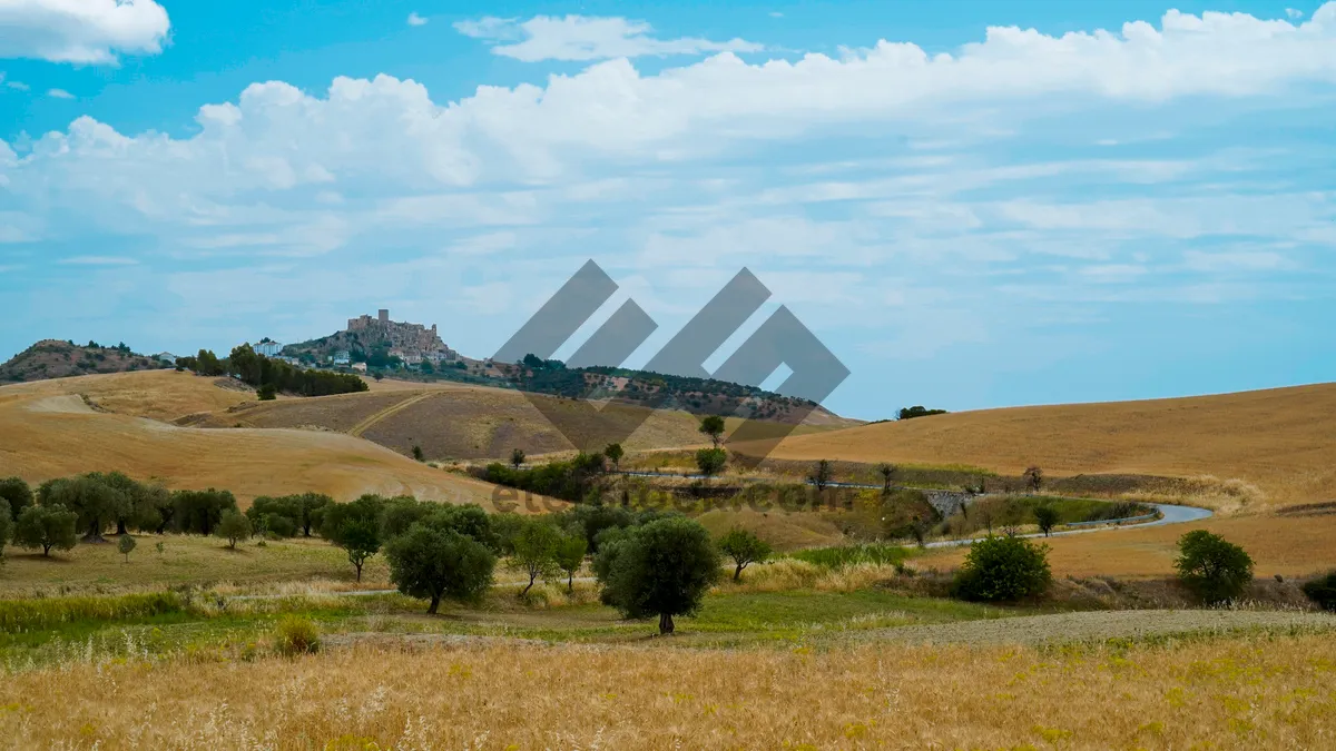 Picture of Mountain landscape with baseball equipment on grassy hill