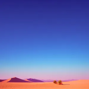 Dusty Dunes: Sun-kissed Desert Horizon