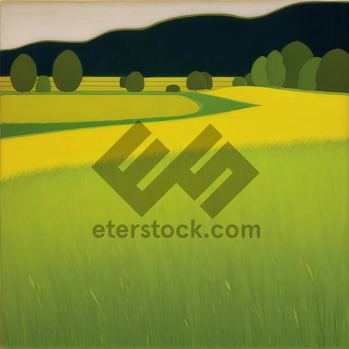 Picture of Golden Fields of Wheat and Rapeseed under Blue Skies