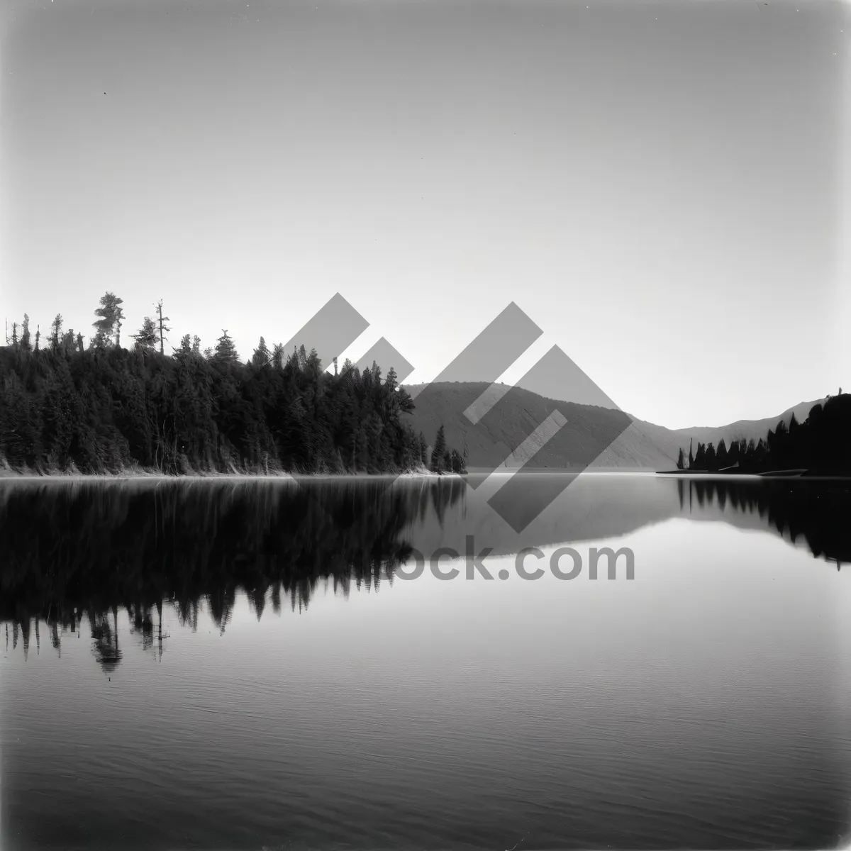 Picture of Serene Waterscape Amongst Towering Trees