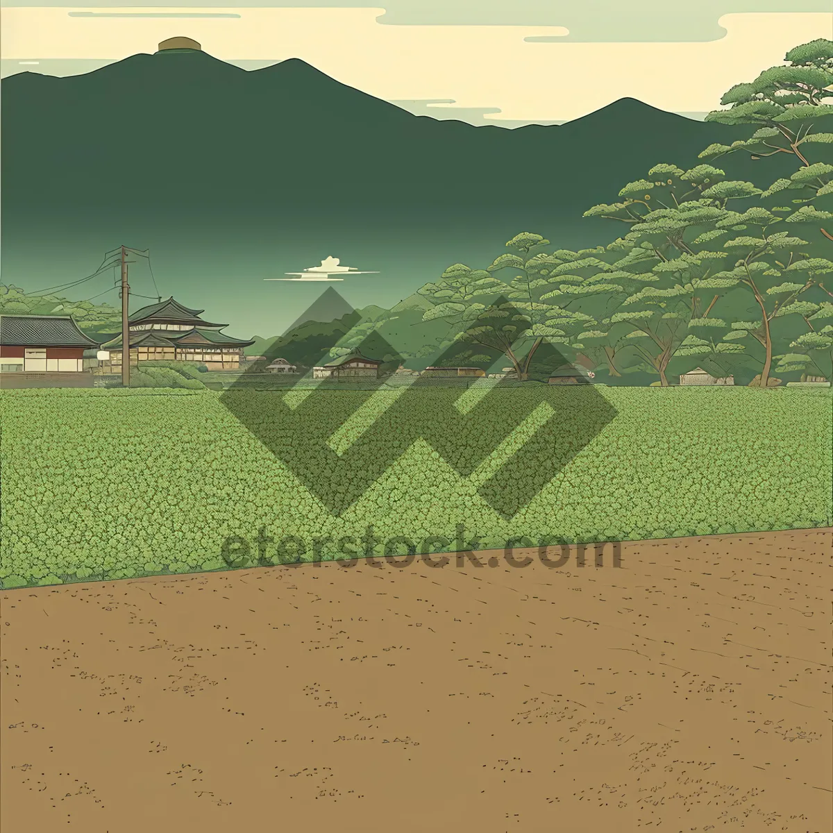 Picture of Summer Rice Field Landscape with Tree