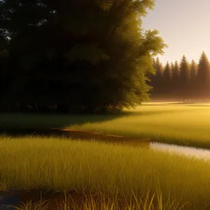 Serenity at Sunrise: Majestic Sky Above Rural Landscape