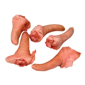 Hand care sign gesture finger palm skin adult.