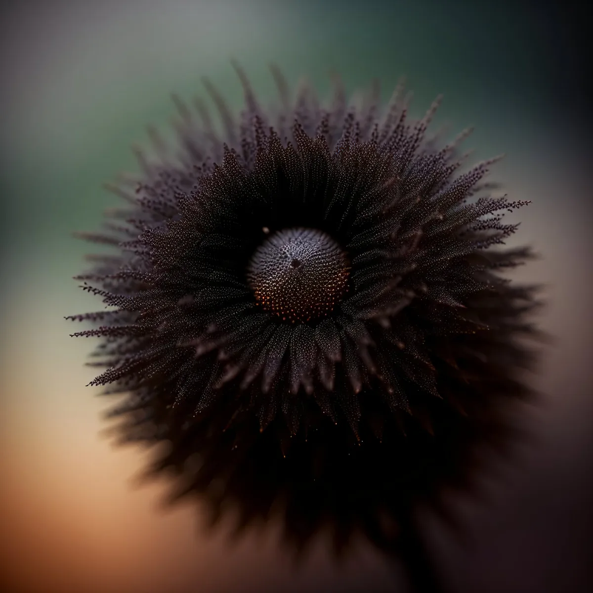 Picture of Colorful Night Sky With Fireworks and Sunflower