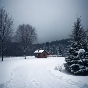 Winter Wonderland: A Scenic Mountain Slope Covered in Snow