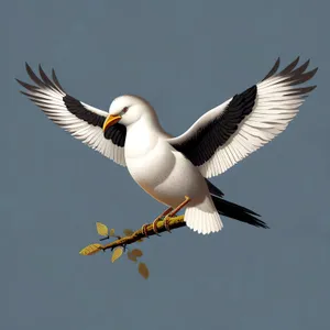 Graceful Flight: Majestic Seabird Soaring in the Sky