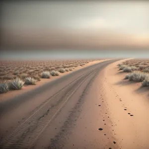 Sandy Sunset Beach Landscape by the Sea