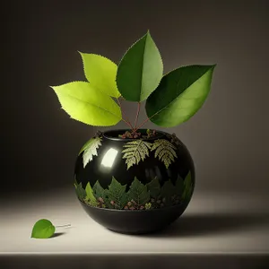 Earth-inspired Leaf Globe Vase: A Sustainable Plant Container