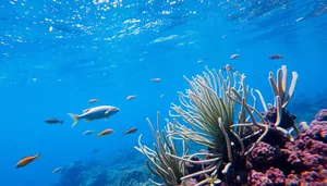 Colorful Tropical Fish Swimming in Sunlit Coral Reef