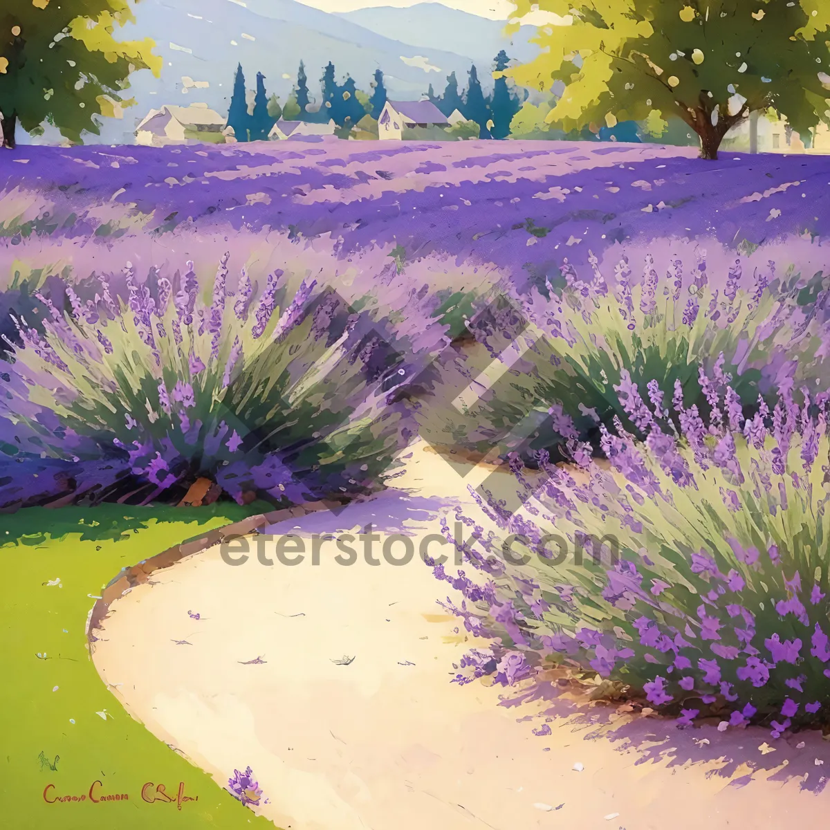 Picture of Blossoming lavender field in vibrant purple hues.