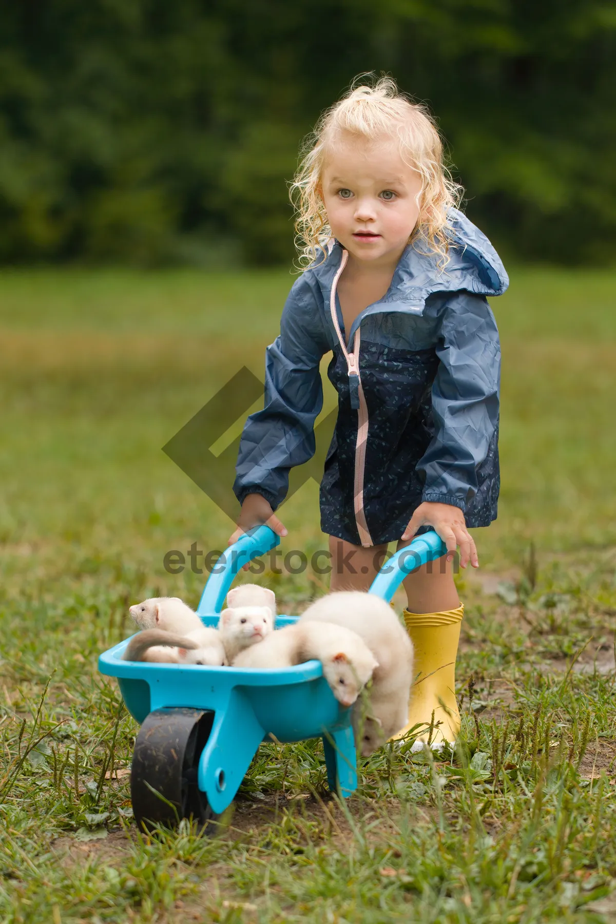 Picture of Happy child smiling in the park with a barrow