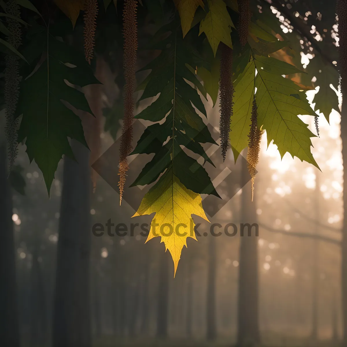 Picture of Vibrant Autumn Maple Leaf Amidst Colorful Foliage